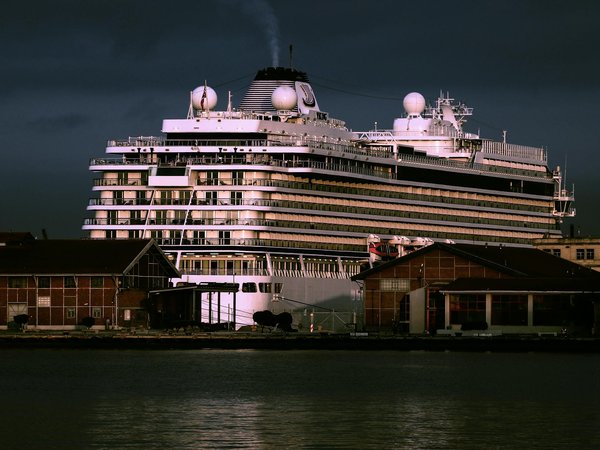 Explore the National Museum of Scotland: The Essential Insider's Guide to an Unforgettable Adventure!